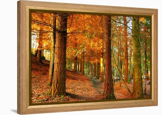 Brocéliande-Viviane Fedieu Daniel-Framed Premier Image Canvas