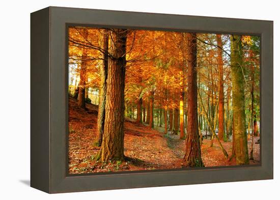 Brocéliande-Viviane Fedieu Daniel-Framed Premier Image Canvas