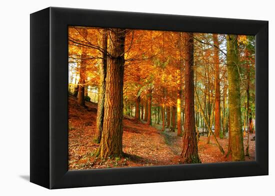 Brocéliande-Viviane Fedieu Daniel-Framed Premier Image Canvas