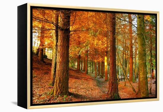 Brocéliande-Viviane Fedieu Daniel-Framed Premier Image Canvas