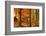 Brocéliande-Viviane Fedieu Daniel-Framed Photographic Print