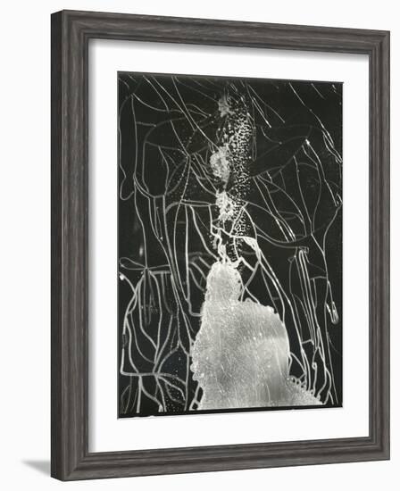 Broken Car Window, California, 1937-Brett Weston-Framed Photographic Print