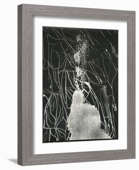 Broken Car Window, California, 1937-Brett Weston-Framed Photographic Print