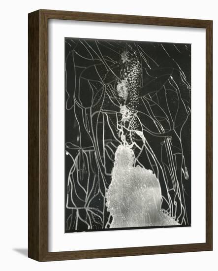 Broken Car Window, California, 1937-Brett Weston-Framed Photographic Print