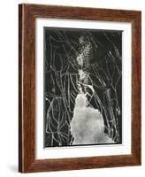 Broken Car Window, California, 1937-Brett Weston-Framed Photographic Print