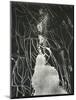 Broken Car Window, California, 1937-Brett Weston-Mounted Photographic Print