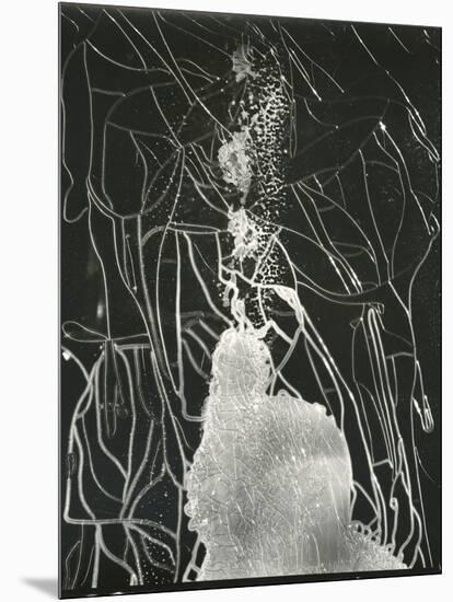 Broken Car Window, California, 1937-Brett Weston-Mounted Premium Photographic Print