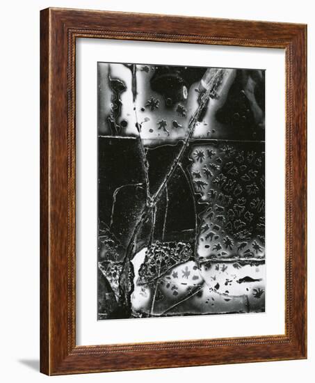 Broken Glass, 1953-Brett Weston-Framed Photographic Print