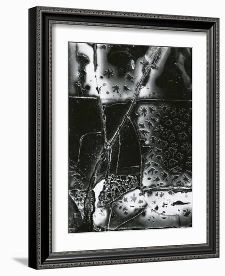 Broken Glass, 1953-Brett Weston-Framed Photographic Print