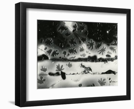 Broken Glass, 1954-Brett Weston-Framed Photographic Print