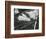 Broken Glass, 1954-Brett Weston-Framed Photographic Print