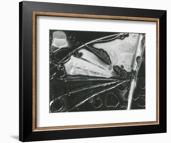 Broken Glass, 1954-Brett Weston-Framed Photographic Print