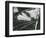 Broken Glass, 1954-Brett Weston-Framed Photographic Print