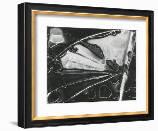 Broken Glass, 1954-Brett Weston-Framed Photographic Print