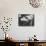 Broken Glass, 1954-Brett Weston-Mounted Premium Photographic Print displayed on a wall