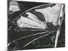 Broken Glass, 1954-Brett Weston-Mounted Premium Photographic Print