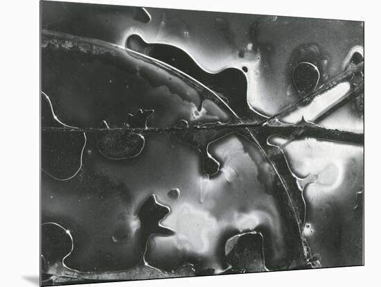 Broken Glass, 1955-Brett Weston-Mounted Premium Photographic Print