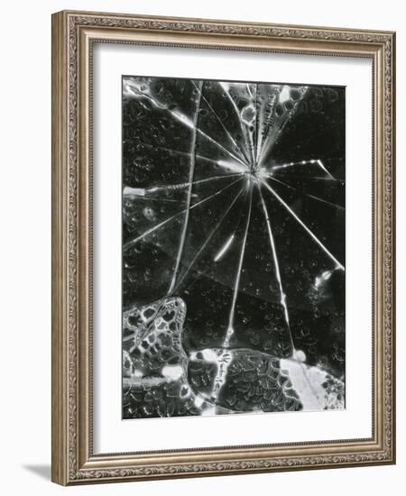 Broken Glass, c. 1955-Brett Weston-Framed Photographic Print