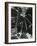 Broken Glass, c. 1955-Brett Weston-Framed Photographic Print