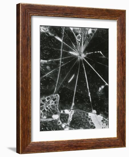 Broken Glass, c. 1955-Brett Weston-Framed Photographic Print