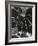 Broken Glass, c. 1955-Brett Weston-Framed Photographic Print