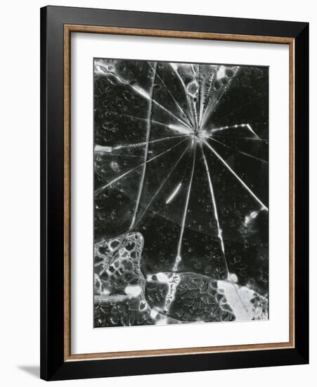 Broken Glass, c. 1955-Brett Weston-Framed Photographic Print