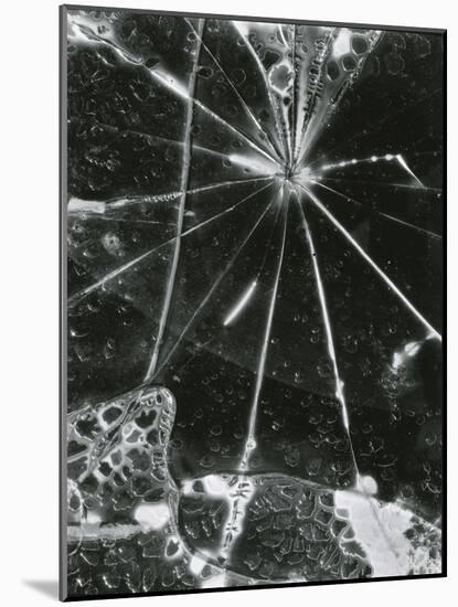 Broken Glass, c. 1955-Brett Weston-Mounted Photographic Print