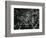 Broken Glass, c. 1955-Brett Weston-Framed Photographic Print