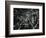 Broken Glass, c. 1955-Brett Weston-Framed Photographic Print