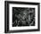 Broken Glass, c. 1955-Brett Weston-Framed Photographic Print