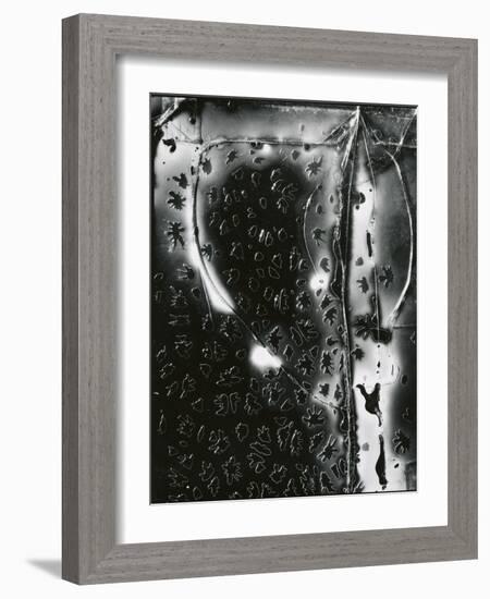 Broken Glass, c. 1955-Brett Weston-Framed Photographic Print