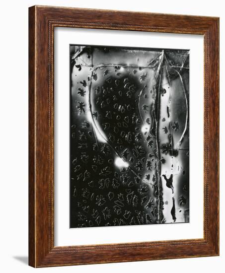 Broken Glass, c. 1955-Brett Weston-Framed Photographic Print