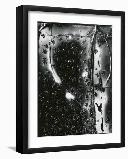 Broken Glass, c. 1955-Brett Weston-Framed Photographic Print