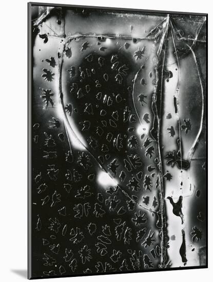 Broken Glass, c. 1955-Brett Weston-Mounted Photographic Print