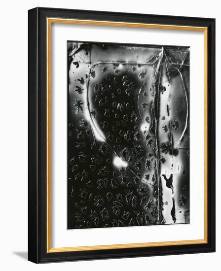 Broken Glass, c. 1955-Brett Weston-Framed Photographic Print