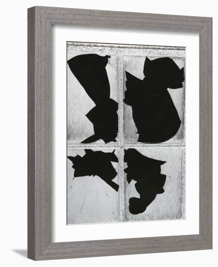 Broken Glass, c. 1970-Brett Weston-Framed Photographic Print