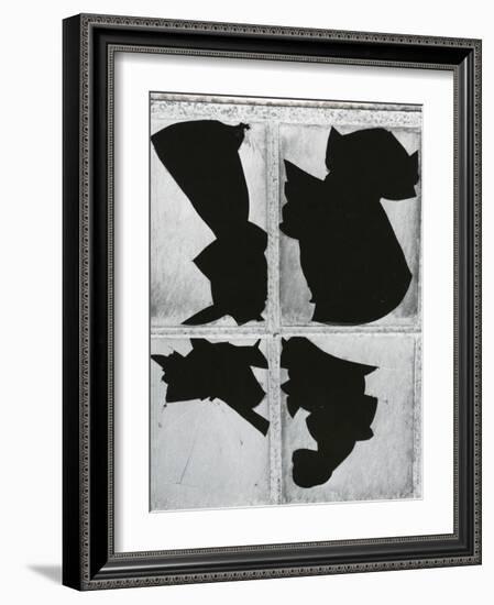 Broken Glass, c. 1970-Brett Weston-Framed Photographic Print