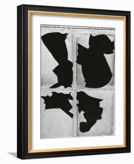 Broken Glass, c. 1970-Brett Weston-Framed Photographic Print