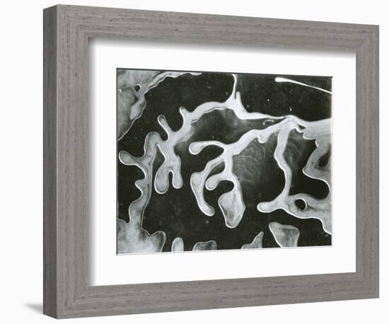 Broken Glass, California, 1954-Brett Weston-Framed Photographic Print