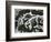 Broken Glass, California, 1954-Brett Weston-Framed Photographic Print