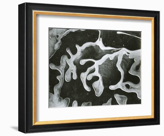 Broken Glass, California, 1954-Brett Weston-Framed Photographic Print