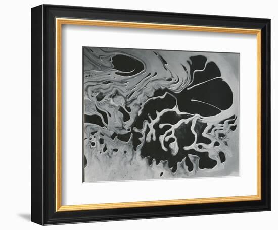 Broken Glass, California, 1954-Brett Weston-Framed Photographic Print