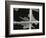 Broken Glass, Window, 1975-Brett Weston-Framed Photographic Print