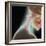 Broken Neck-Science Photo Library-Framed Premium Photographic Print