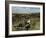 Broken Old Rowboat Cushioned in Tall Wild Grass, with a View of a House in Distance-Alfred Eisenstaedt-Framed Photographic Print