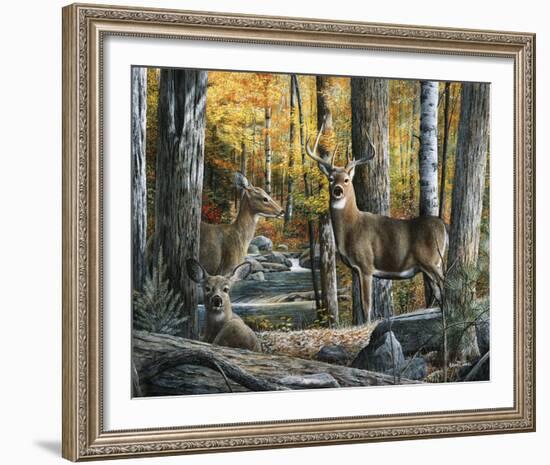 Broken Silence II-Kevin Daniel-Framed Art Print