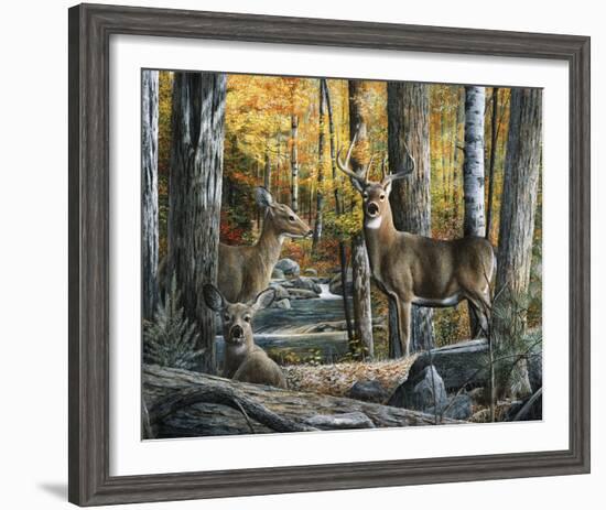 Broken Silence II-Kevin Daniel-Framed Art Print