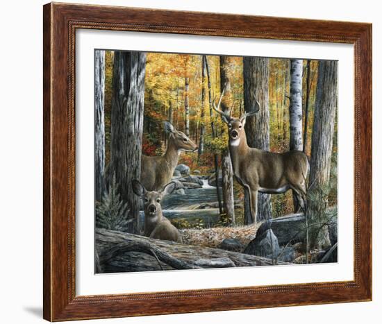 Broken Silence II-Kevin Daniel-Framed Art Print