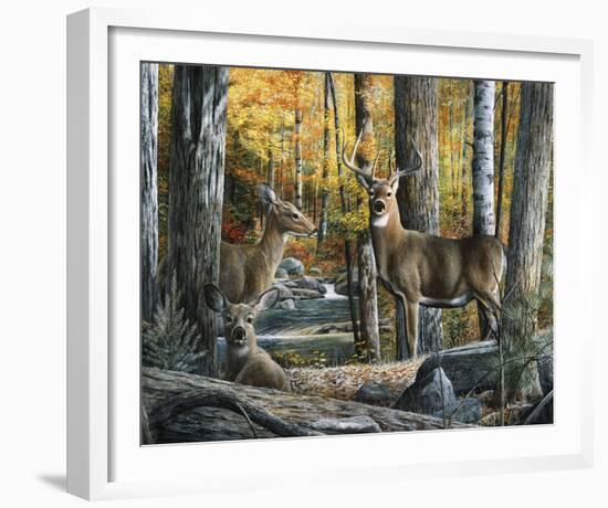 Broken Silence II-Kevin Daniel-Framed Art Print