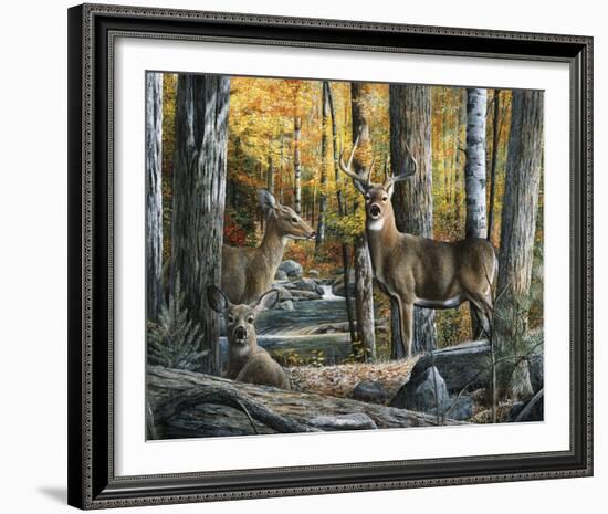 Broken Silence II-Kevin Daniel-Framed Art Print